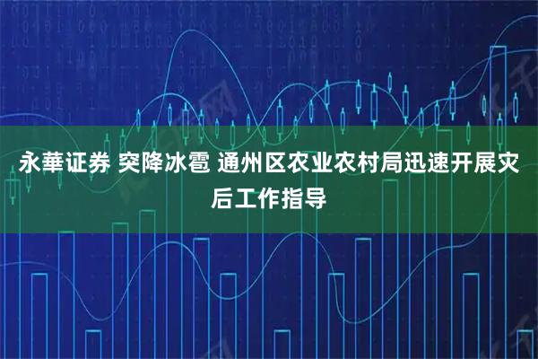 永華证券 突降冰雹 通州区农业农村局迅速开展灾后工作指导