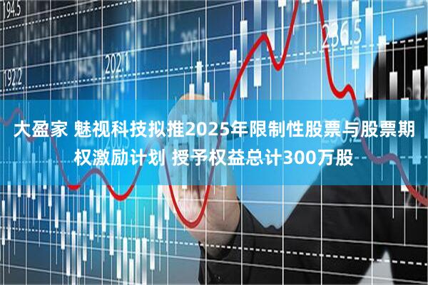 大盈家 魅视科技拟推2025年限制性股票与股票期权激励计划 授予权益总计300万股