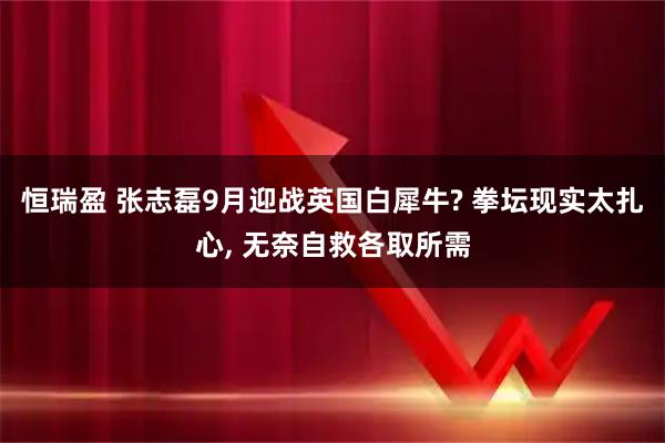 恒瑞盈 张志磊9月迎战英国白犀牛? 拳坛现实太扎心, 无奈自救各取所需