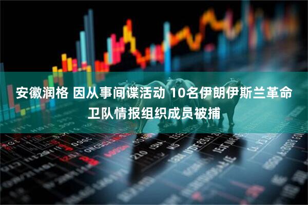 安徽润格 因从事间谍活动 10名伊朗伊斯兰革命卫队情报组织成员被捕